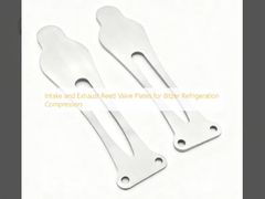 Płyty zaworów wchłaniowych i wydechowych z trzciny dla kompresorów chłodniczych Bitzera