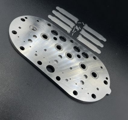 15P Zespół płyty zaworowej i listków zaworowych do sprężarki Copeland Refrigeration do zamrażarki chłodniczej